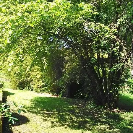 Le Cailloutis